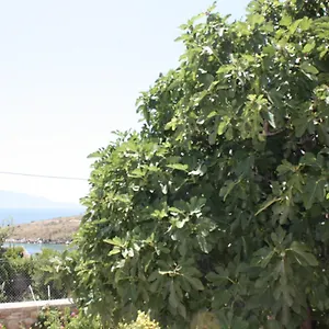Condo Rentals Saranda